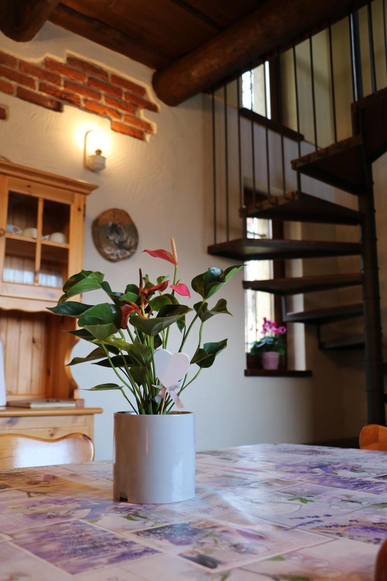 Casa Vacanze Le Primule Peveragno 외부 사진