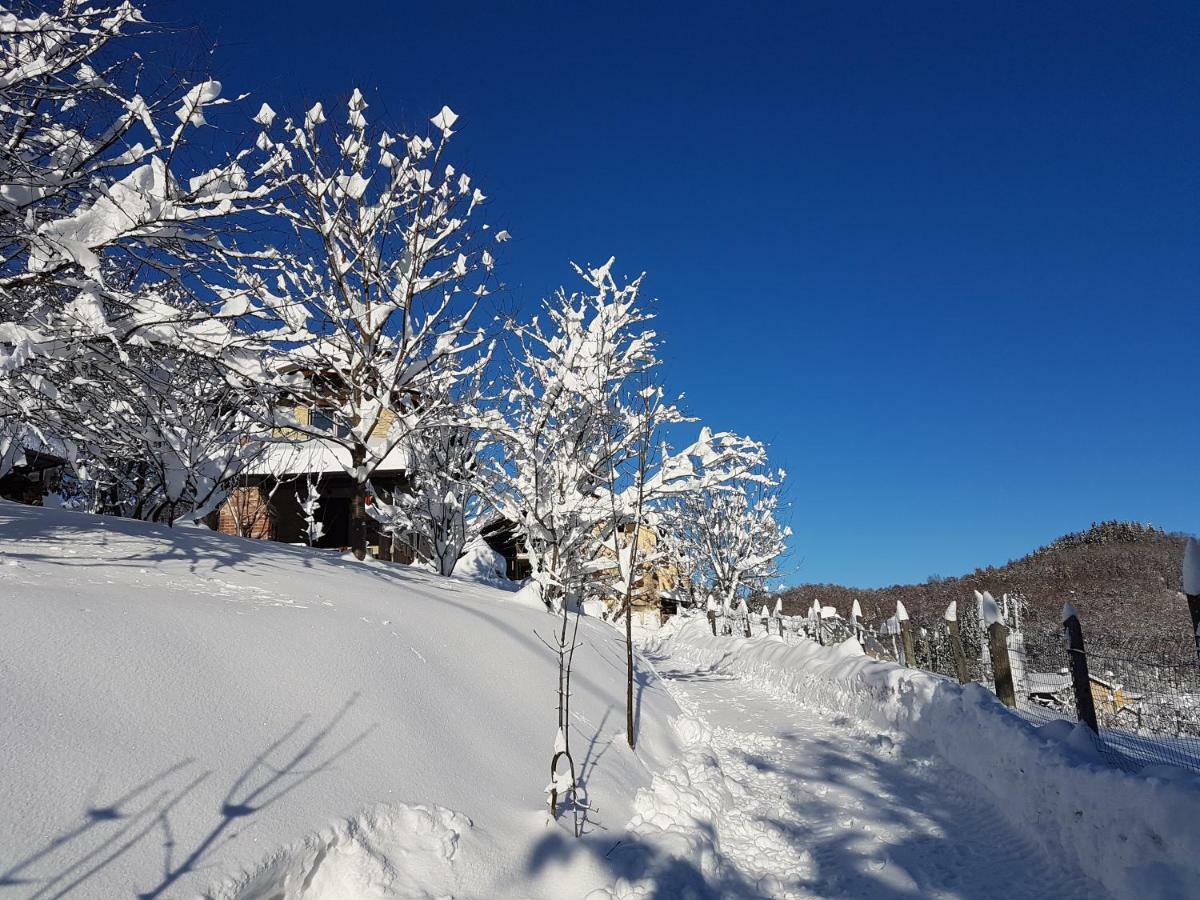 Casa Vacanze Le Primule Peveragno 외부 사진
