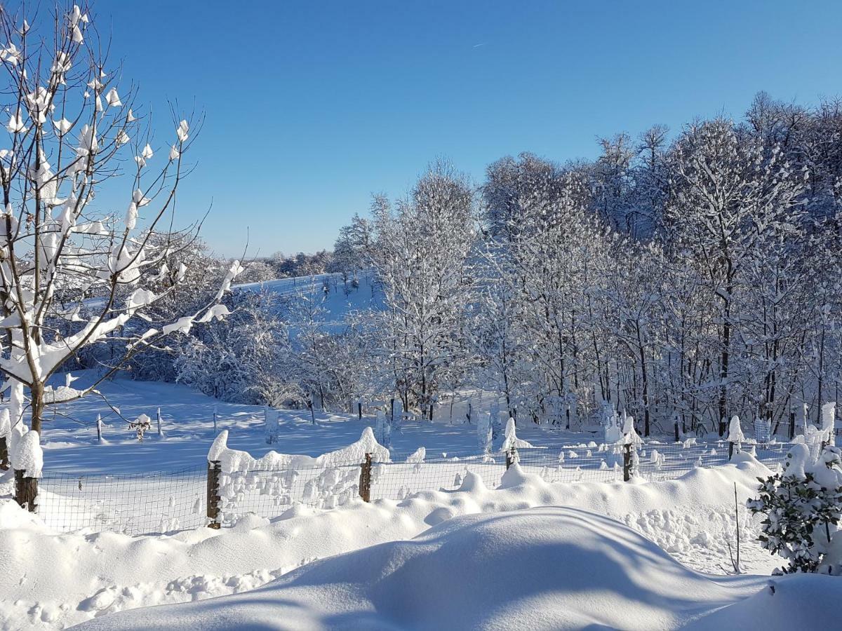 Casa Vacanze Le Primule Peveragno 외부 사진