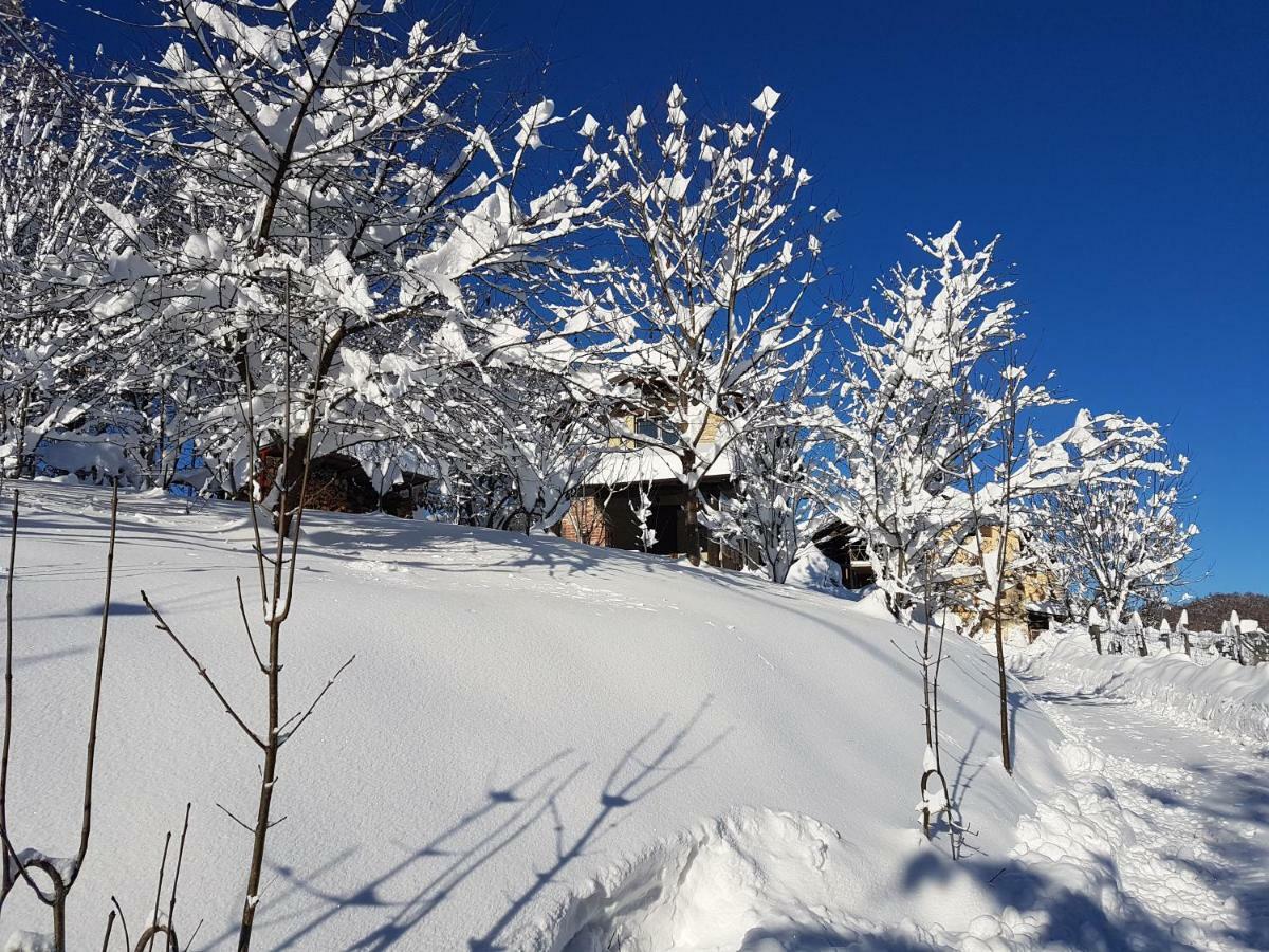 Casa Vacanze Le Primule Peveragno 외부 사진